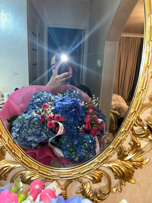 гортензия, 5 штук