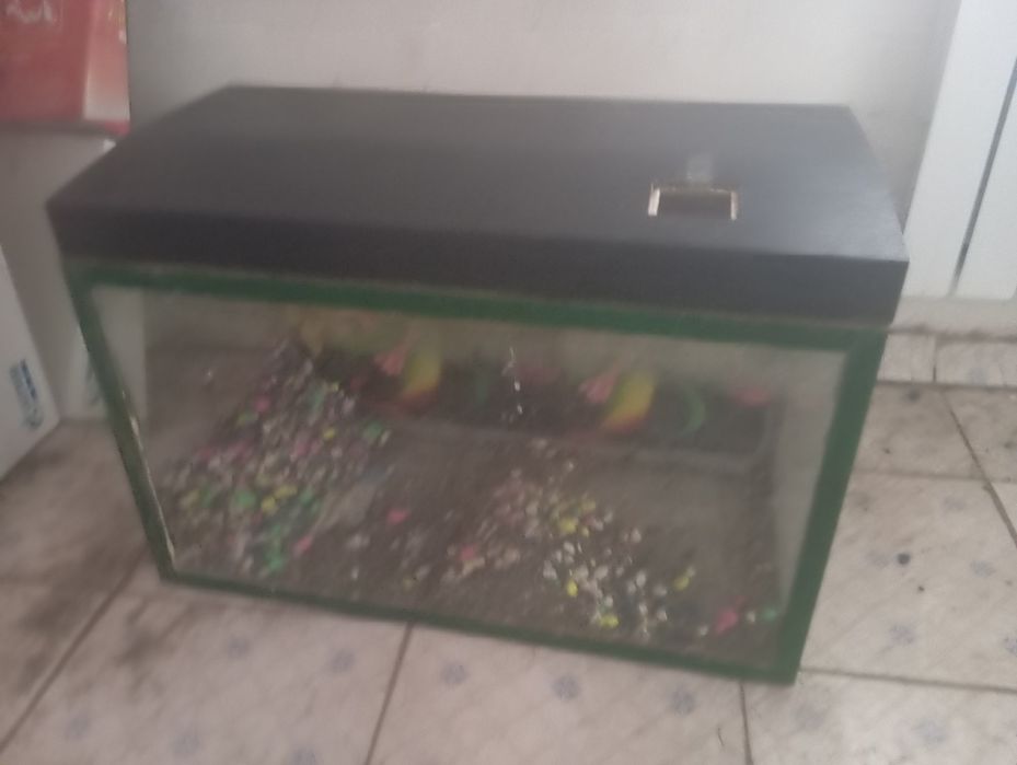 Аквариум продается