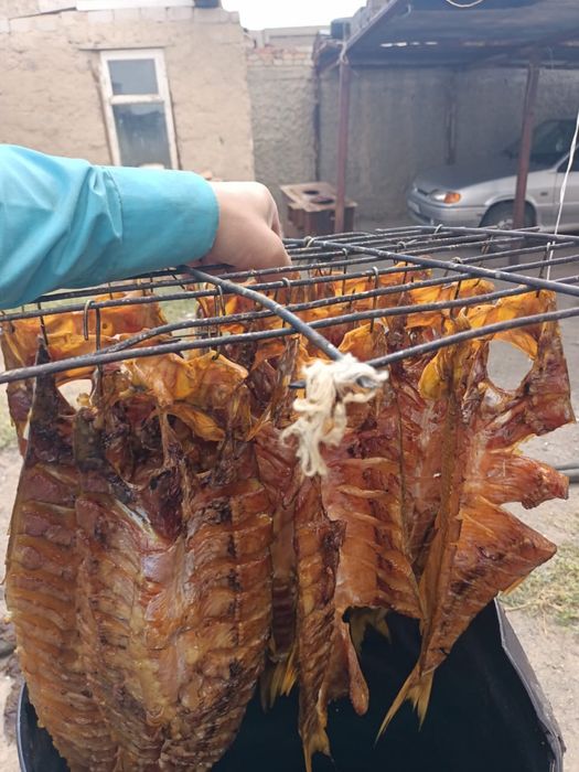 Копченая рыба жерех
