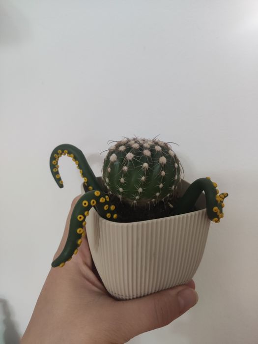 Кактус с декоративными щупальцами