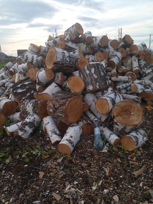 Дрова березовые доставка