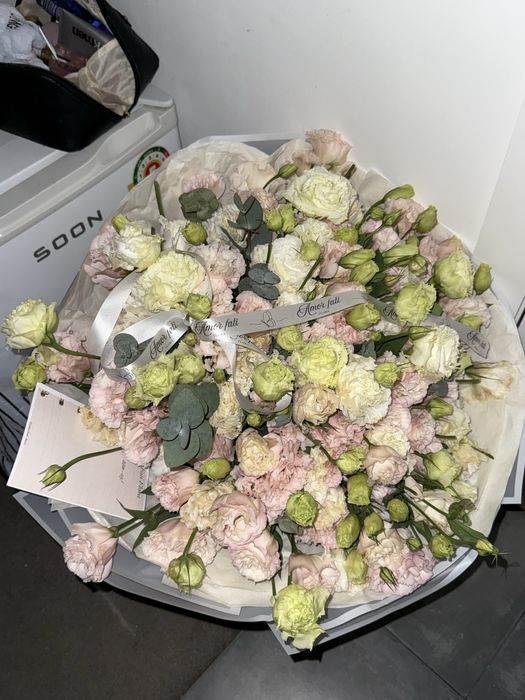 Бүгін келген гүл