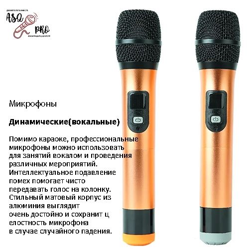 Караоке система ASQ PRO