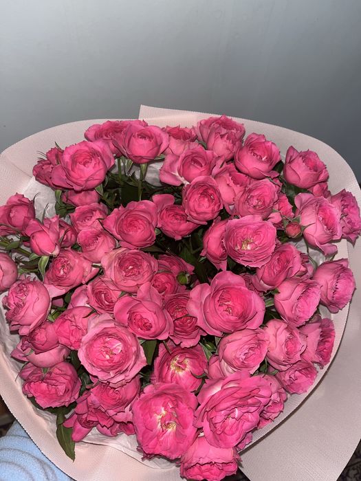 Продам цветы,сегодня подарили