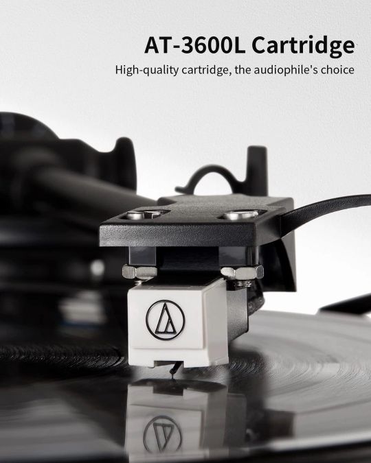 Vinyl Record Player