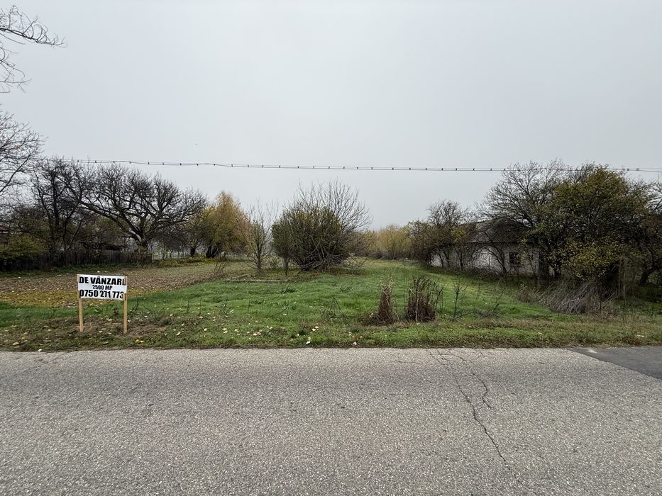 Teren 2500MP Morunglav