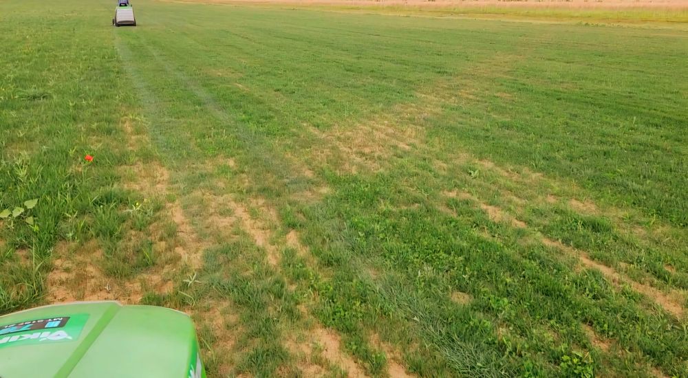 Curăț pășuni terenuri tocăm vegetația și resturi vegetale, tund gazon