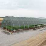 Plasa 35-40%Umbrire 2x100m=334lei; 5x50m;Garantie 5ani