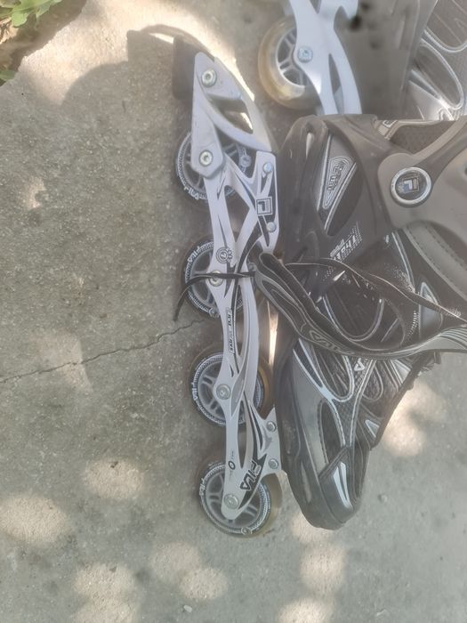 Role fila pentru adult