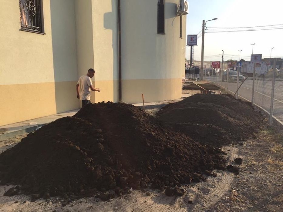 Pamant negru de padure sortat ,maruntit / mranita pentru gazon