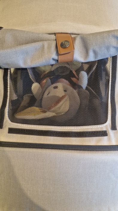 Carucior Nio Mutsy 2 in 1 (landou si partea sport)