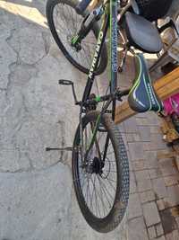 Bicicleta CARAIMAN Cadru pt persoane inalte, frane disc, susp fata, 29