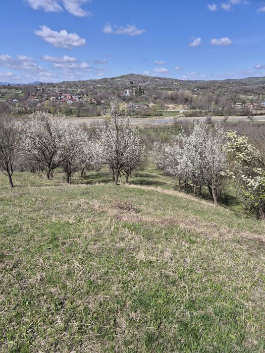 Teren extravilan zona de deal, 12 ha