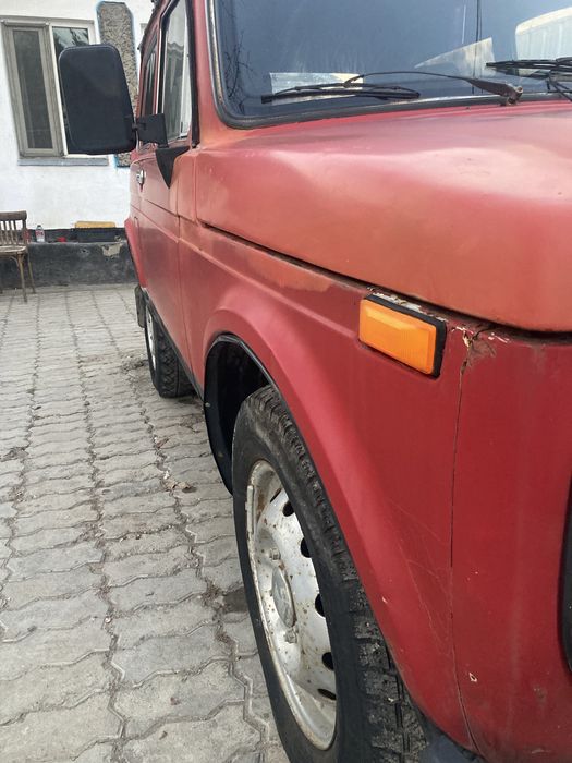 Нива сптылады журип тур