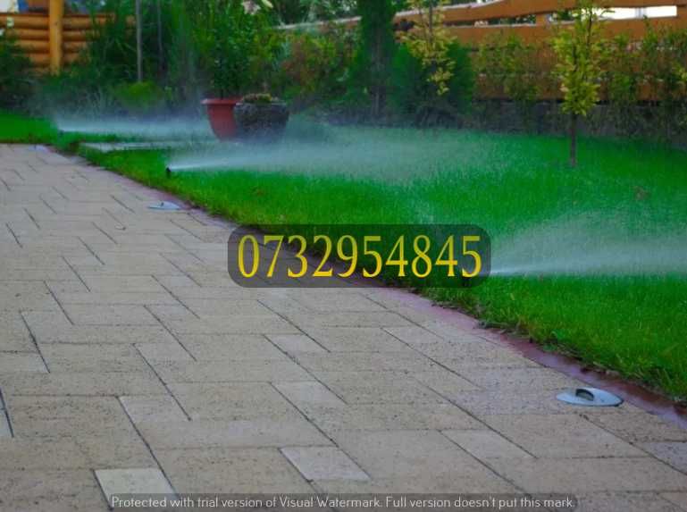 Gazon Natural Proaspăt – Ideal pentru Curți și Terase