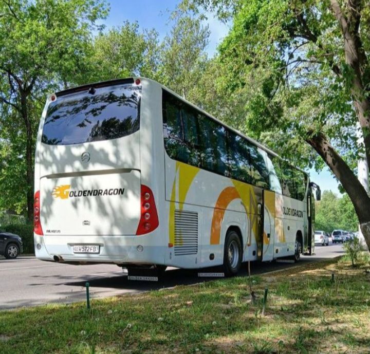 Avtobus Xizmati 50+1