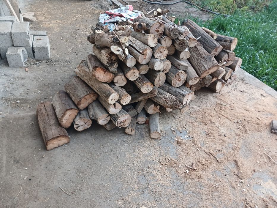 Курук утин 1 лабо кузов чикади