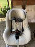 Maxi-Cosi 2wayPearl + baza auto 2wayFix