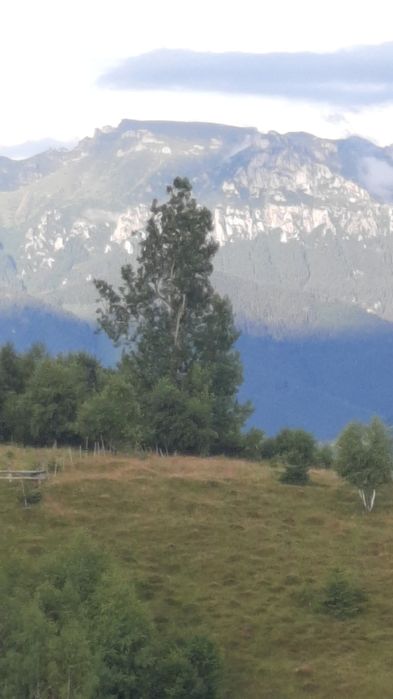 Teren la munte superb Ciocanu Dambovicioara