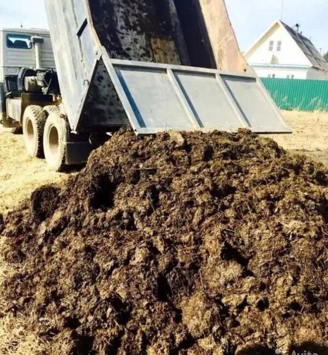 Навоз продается говяжий