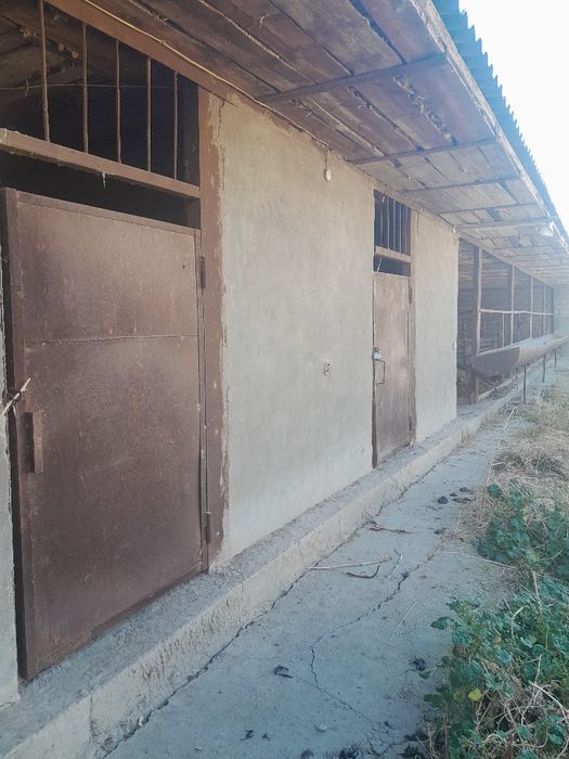 Кибрай марказидан 4км, 11сотх