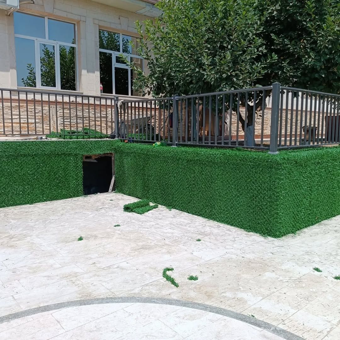Suniyzabor #green