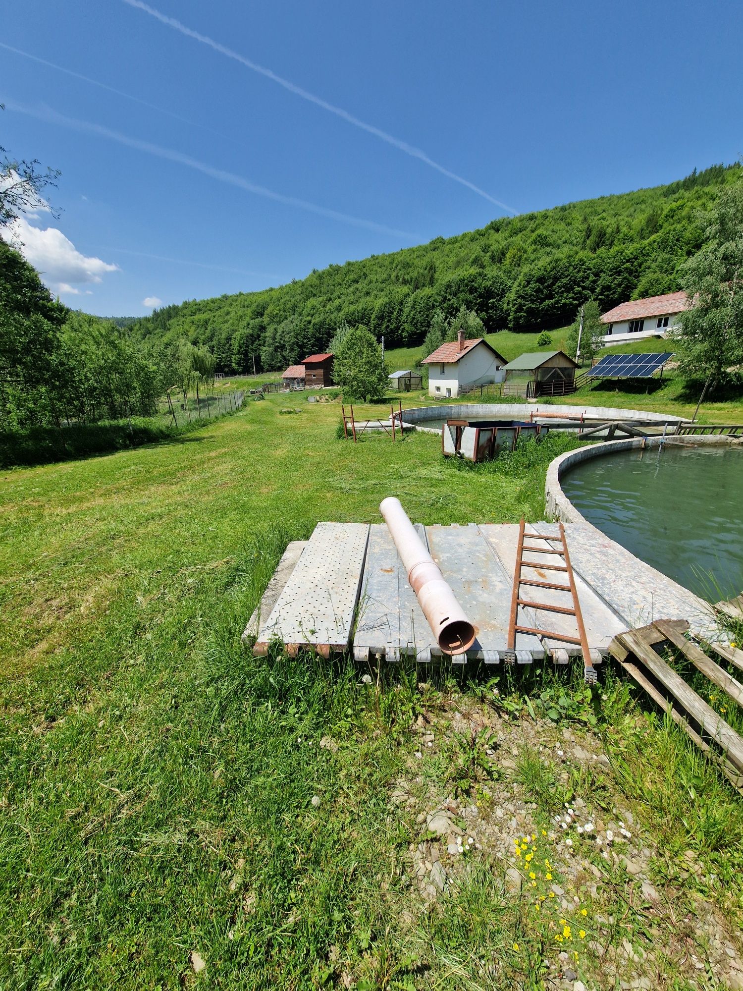 Pastravarie,lac de pescuit,Oportunitate, activutate,casa de vacanta, ,