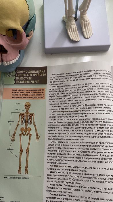 РАЗПИСАН конспект по Биология за МУ София и СУ