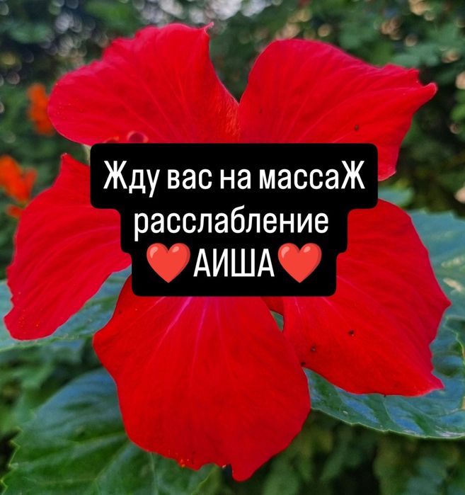 Авторский массаж для здоровья и красоты