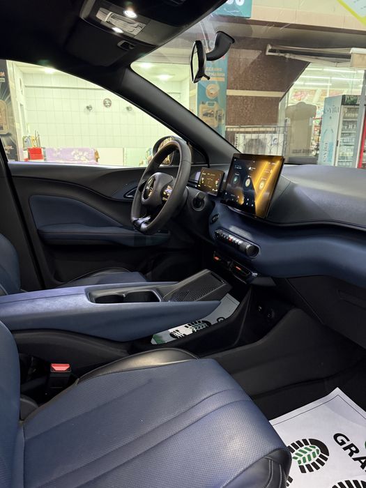 Arenda Nasiya Byd seagull