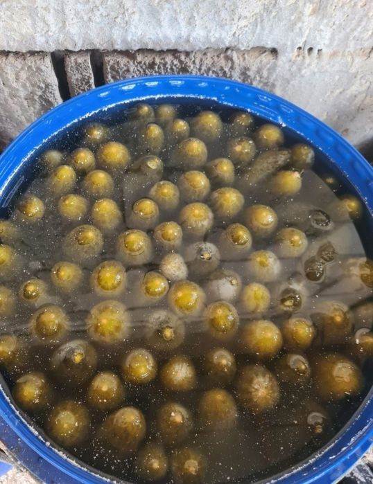 Castraveti murati in saramura