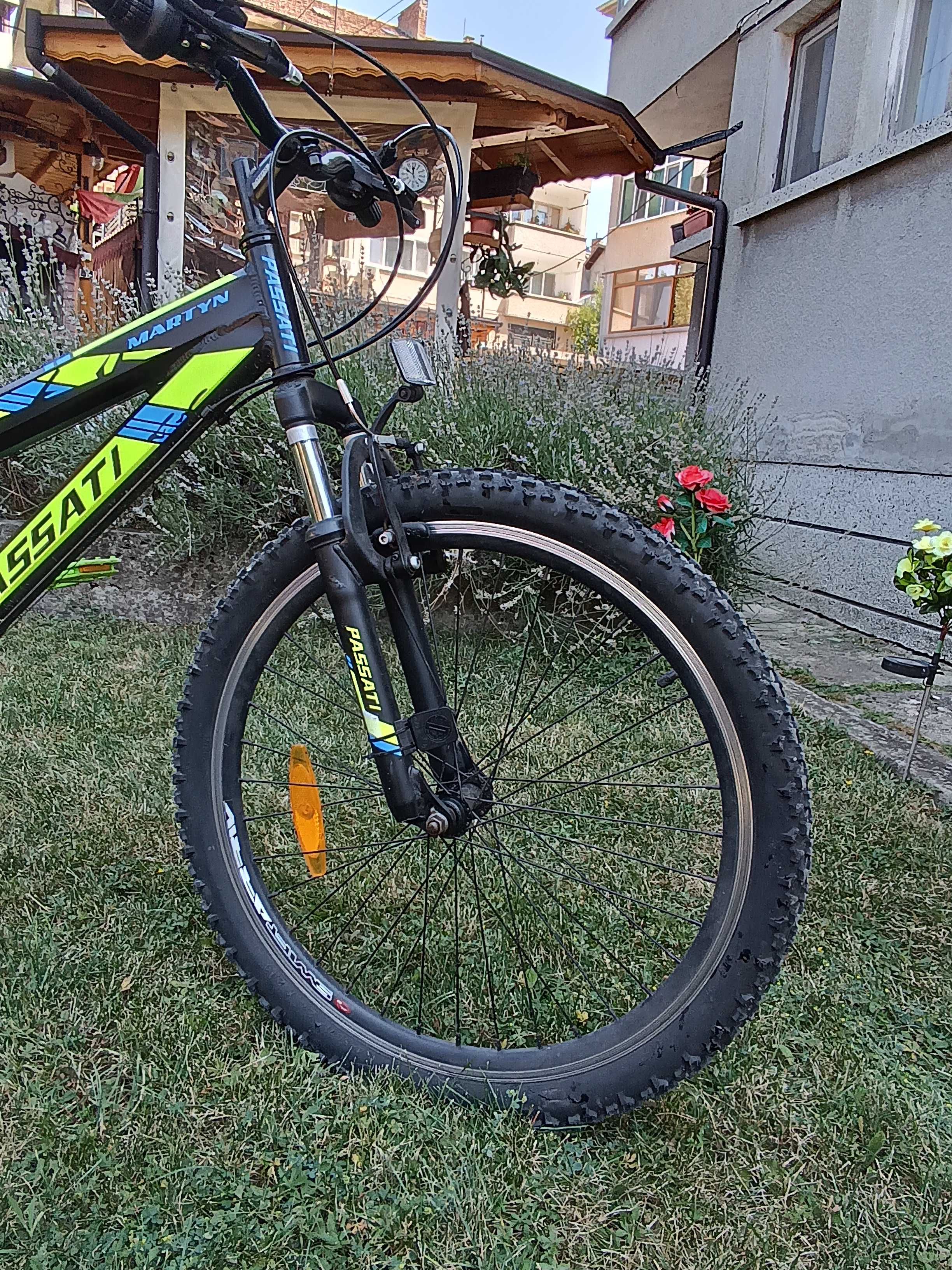 Passati Martyn 20"