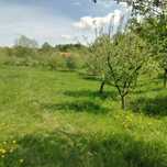 Teren Bran Sohodol Brasov