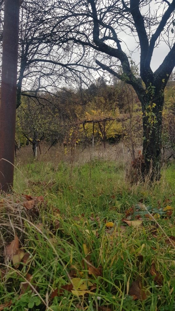 Продава къща в с.Скрино общ.Бобошево