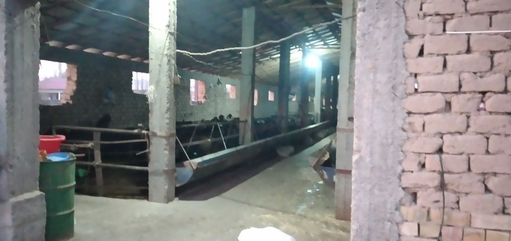 Сдается в аренду ферма