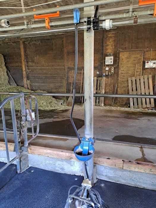 Sala de muls vaci