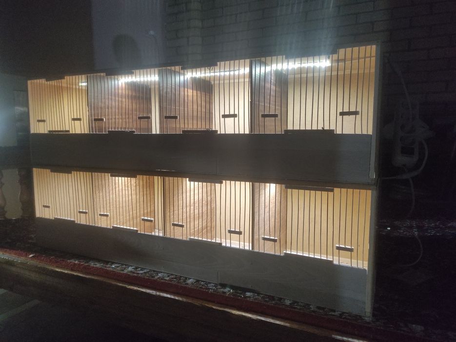 Italiya bedona makiyonlari uchun qafaslar sotiladi