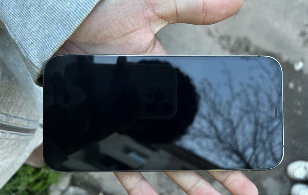 Iphone 12 pro max 256 tali