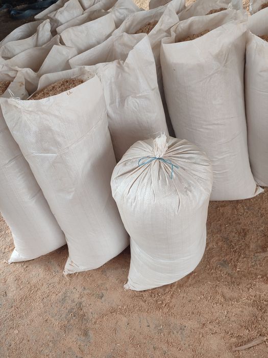 Rumegus de fag pentru afumat