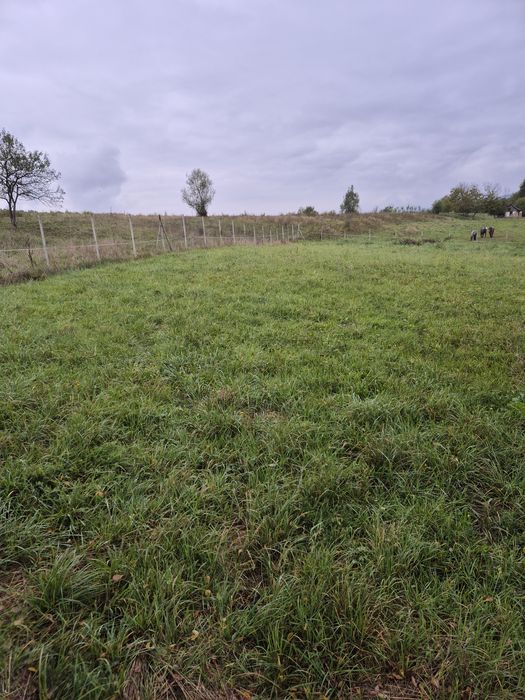 Teren 1.500 mp Sighetu Marmației