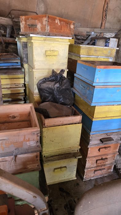 Пчелни кошери Дадан Блат