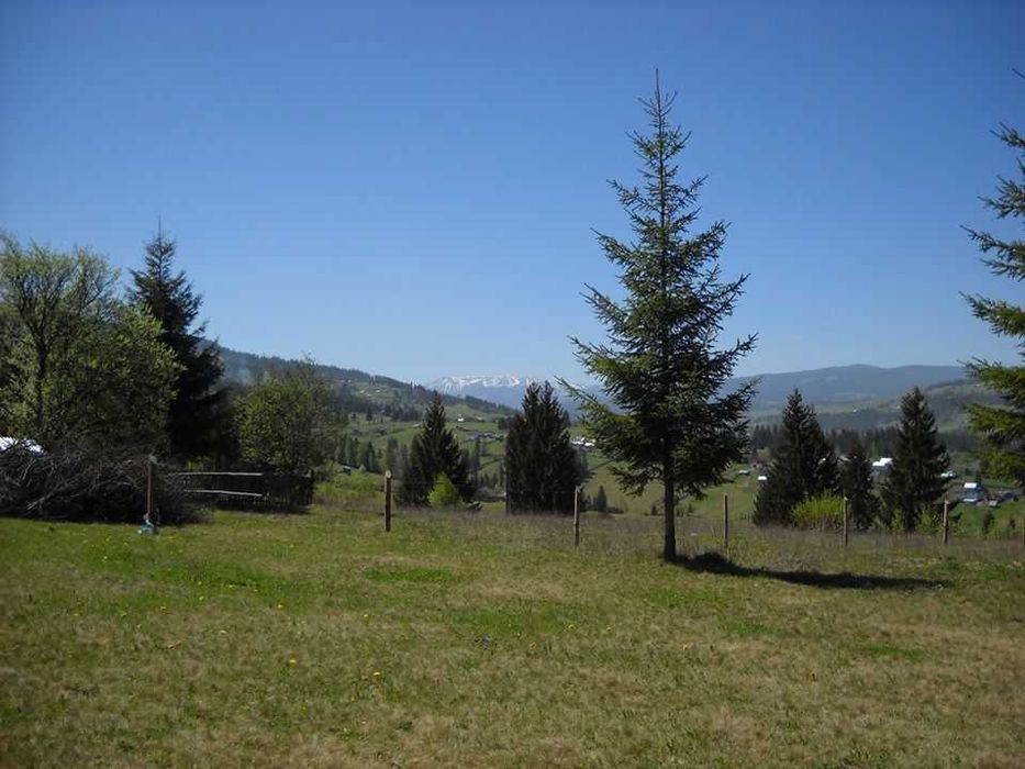 * 6500 euro * Parcele INTRAVILAN la MUNTE * cu ASFALT si UTILITĂȚI *