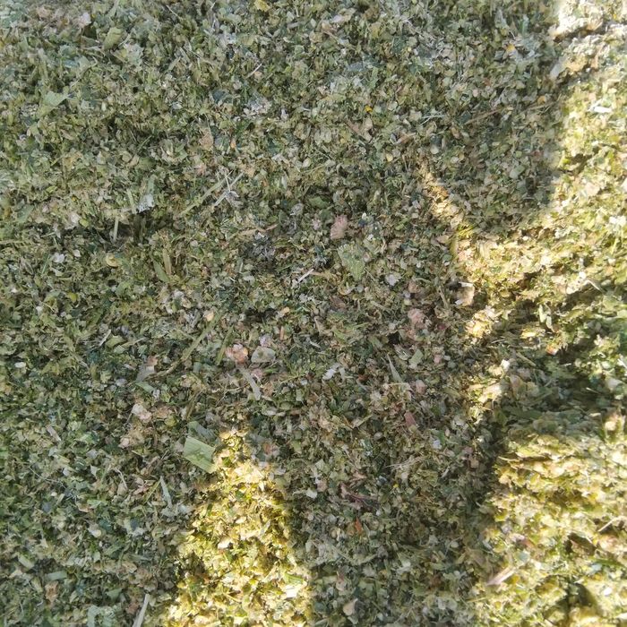 Сенаж 20 кг 18 минг сумдан сотилади