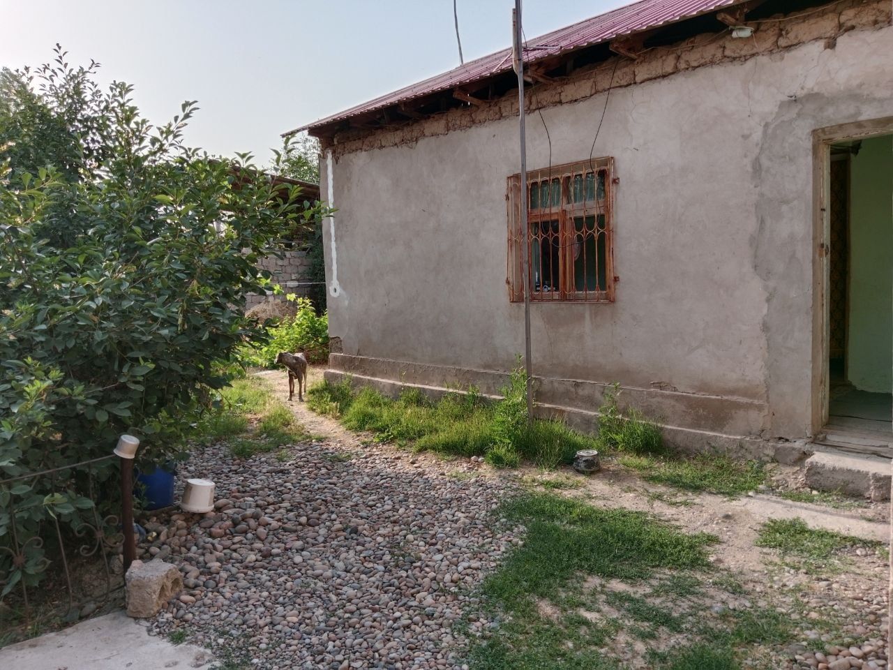 Uchaska sotiladi 10sotix yukari chirchik nurli yol maxallasida