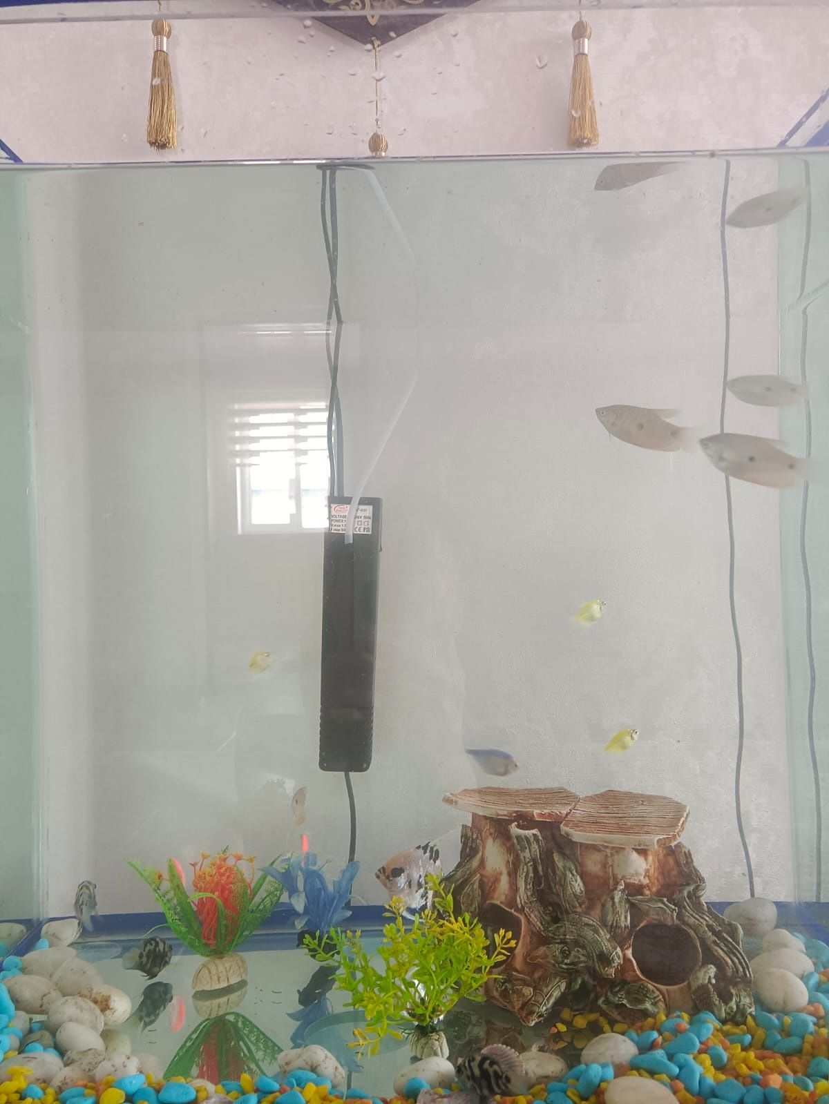 Аквариум с рыбками в наборе