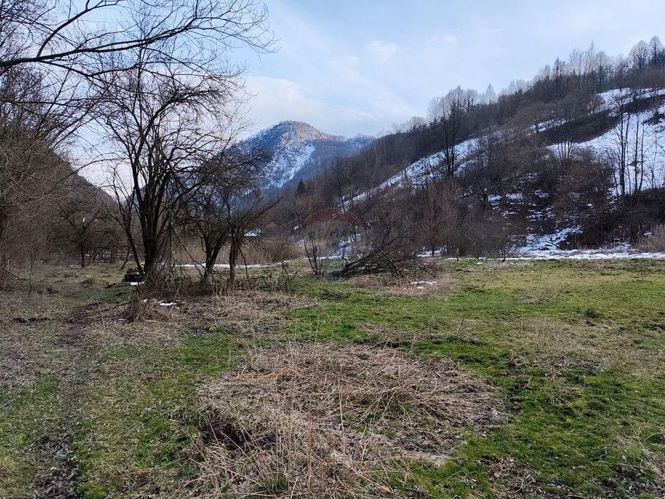 Teren intravilan vanzare Ocolis Lunca Larga