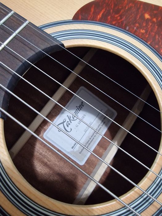 Chitara Takamine GD10ns + accesorii