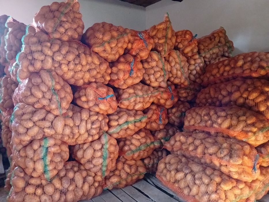 De vanzare Cartofi consum