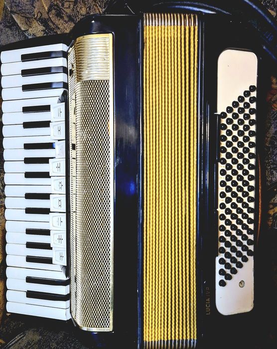Vând acordeor Hohner Lucia IV P cu 96 basi