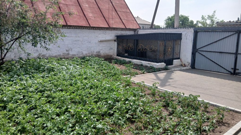Продам катедж в городе